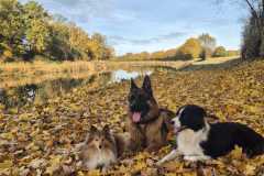 IMG-20251106-WA0002