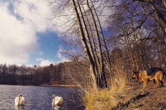 e615c66a2c067c254e595e03ceec0381